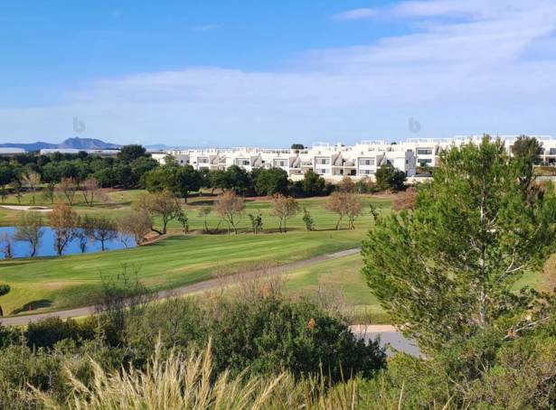 Sold - Detached Villa - Pilar De La Horadada - Lo Romero Golf