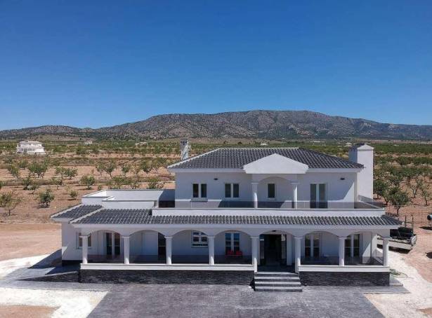 Detached Villa - For sale - Elche - PEP LYC IVP DV 4B-F