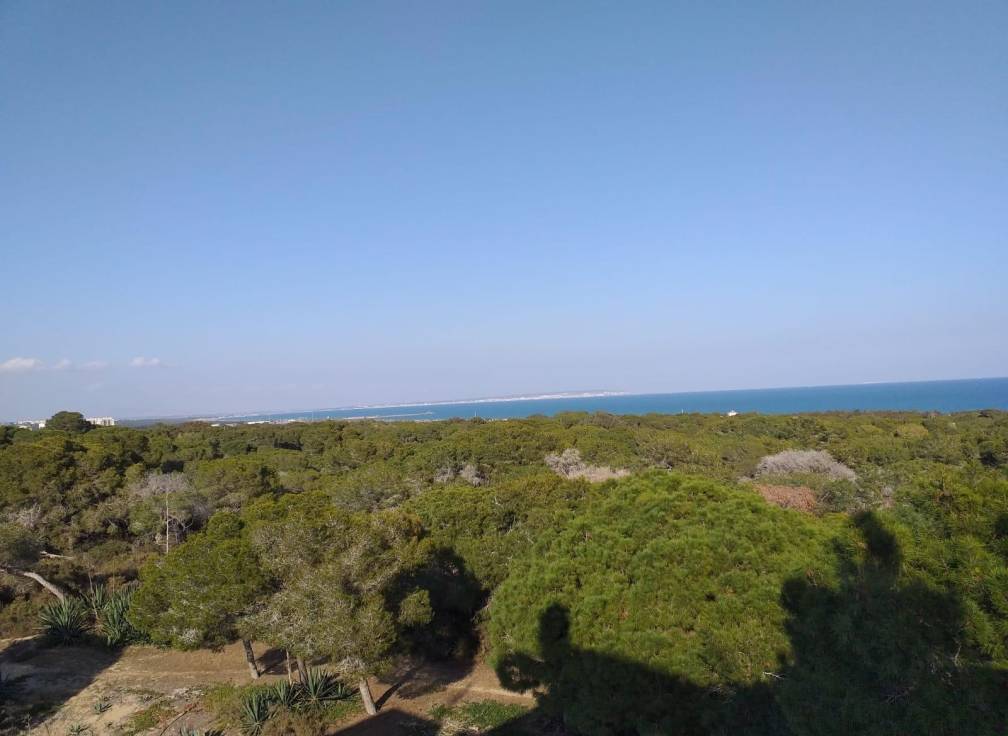 For sale - Ground floor apartment - Guardamar & Vega Baja - Guardamar Del Segura