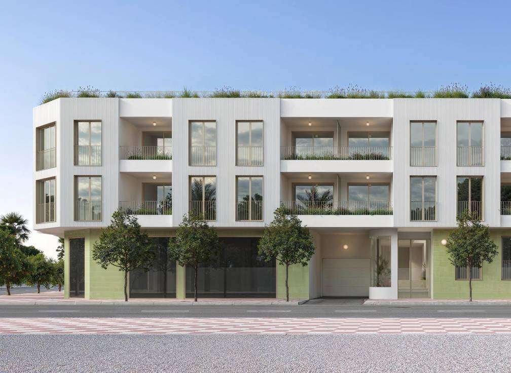 For sale - Penthouse - Guardamar & Vega Baja - Jacarilla 