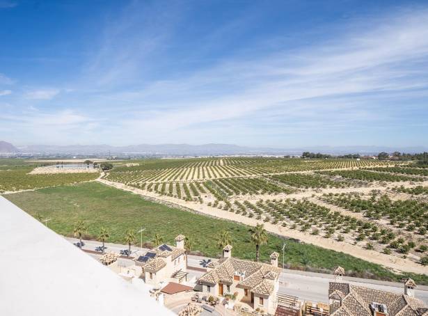 For sale - Villa - Algorfa - La Finca Golf