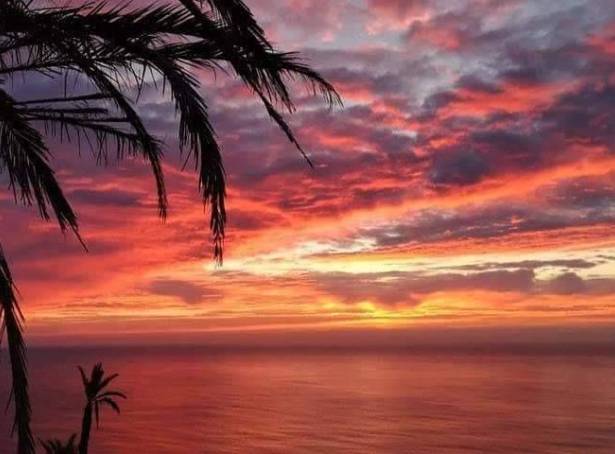 For sale - Bungalow - Torrevieja - Altos del Sol