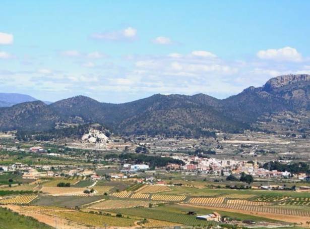 For sale - Detached Villa - Elche - La Romana - Los Batistes 