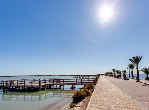 For sale - Detached Villa - Pilar De La Horadada - Pilar De La Horadada 