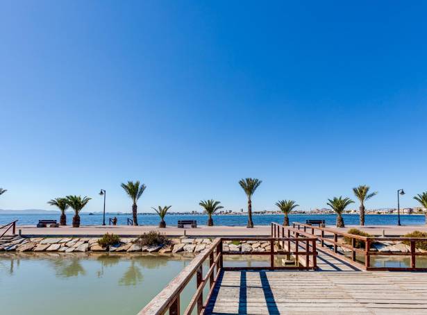 For sale - Detached Villa - Pilar De La Horadada - Pilar De La Horadada 