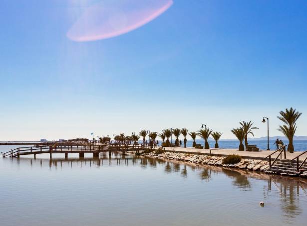 For sale - Detached Villa - Pilar De La Horadada - Pilar De La Horadada 