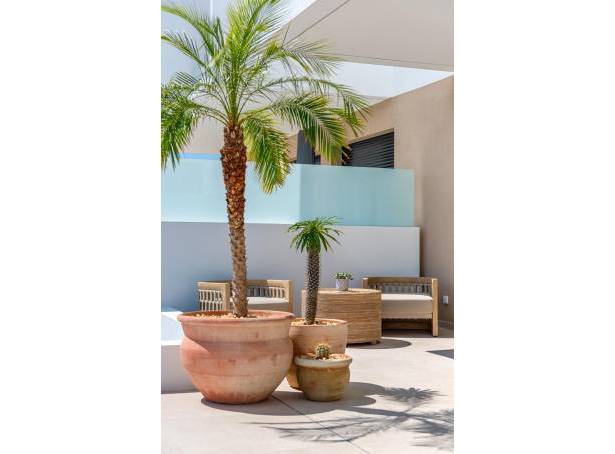 For sale - Semi Detached / Linked Villa - Guardamar & Vega Baja - Dolores