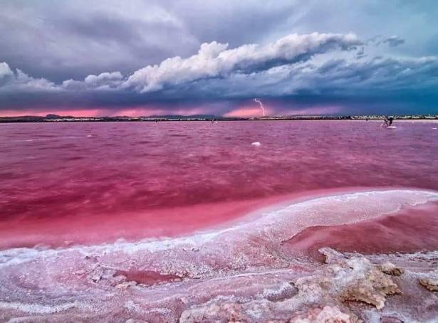 For sale - Penthouse - Torrevieja - Centro