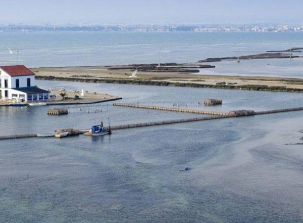 For sale - Detached Villa - San Javier & San Pedro Del Pinatar - San Pedro Del Pinatar & Lo Pagan