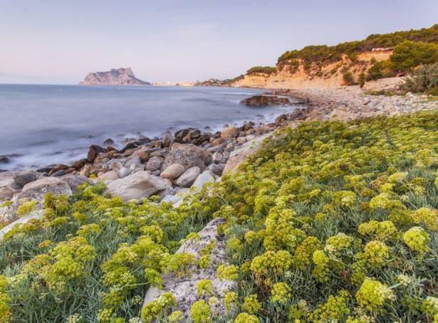 For sale - Villa - Benissa - Cala Advocat