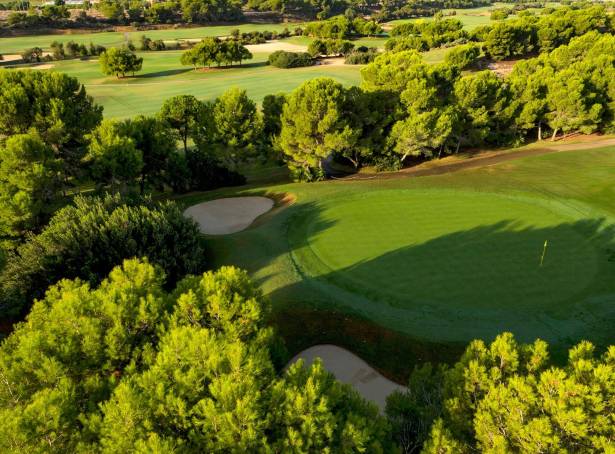 For sale - Villa - Pilar de La Horadada - Lo Romero Golf