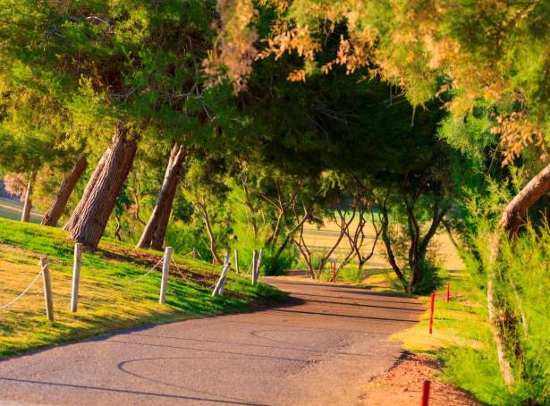 For sale - Villa - Pilar de La Horadada - Lo Romero Golf