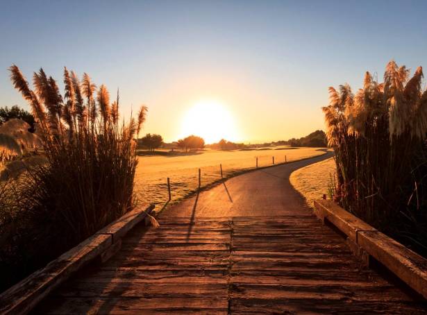 For sale - Villa - Pilar de La Horadada - Lo Romero Golf