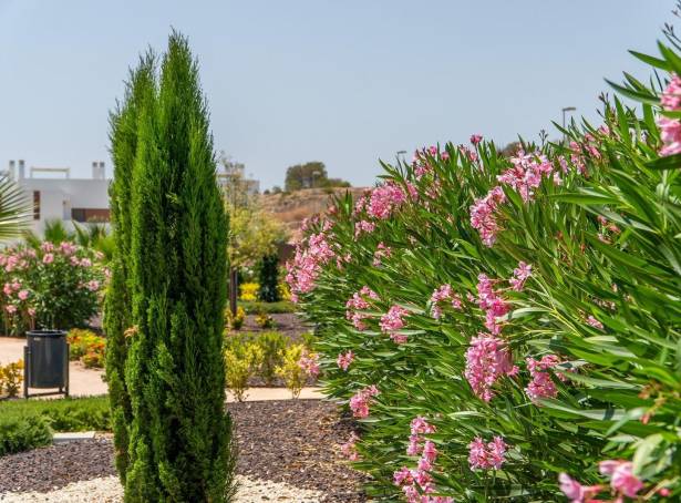 For sale - Townhouse / Terraced - Orihuela - Vistabella Golf