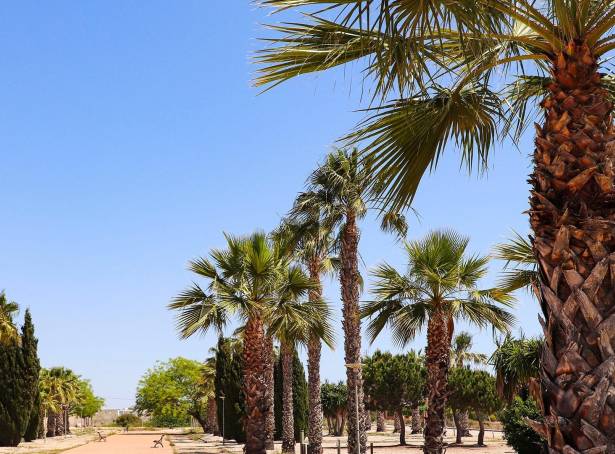 For sale - Villa - San Fulgencio - La Escuera