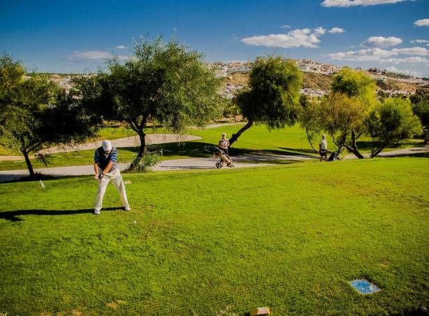 For sale - Villa - Rojales - Benimar