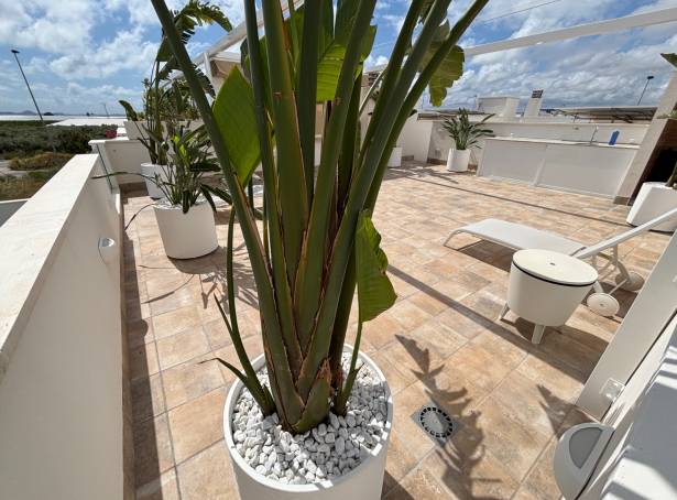 For sale - Semi Detached / Linked Villa - San Javier & San Pedro Del Pinatar - San Javier Town