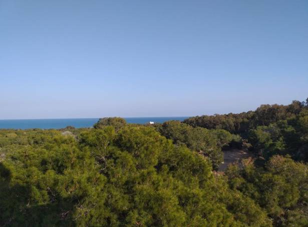 For sale - Apartment - Guardamar del Segura - Pueblo