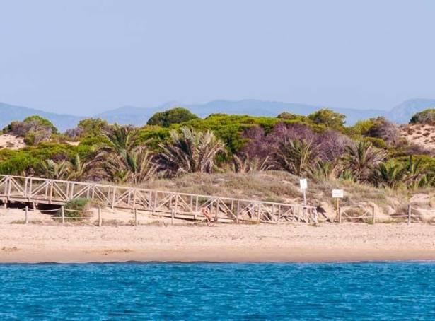 For sale - Apartment - Guardamar & Vega Baja - Guardamar Del Segura