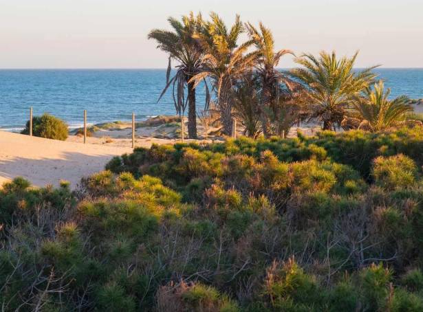 For sale - Penthouse - Guardamar del Segura - Avda del Puerto