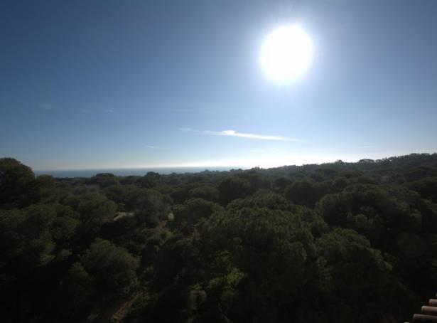 For sale - Apartment - Guardamar & Vega Baja - Guardamar Del Segura