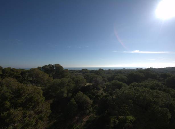 For sale - Apartment - Guardamar & Vega Baja - Guardamar Del Segura