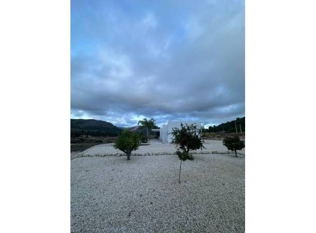For sale - Detached Villa - Elche - Pinoso & El Prat 