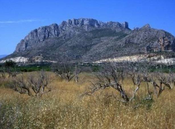 For sale - Semi Detached / Linked Villa - Denia - North Beach Area 
