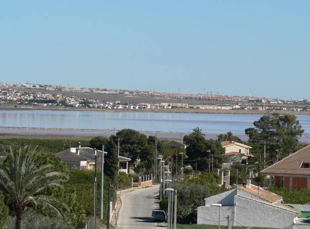 For sale - Detached Villa - Guardamar & Vega Baja - Los Montesinos