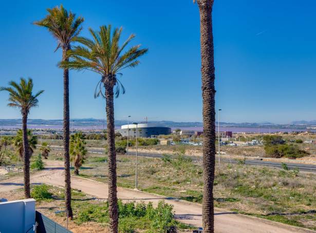 For sale - Detached Villa - Torrevieja - El Chaparral 