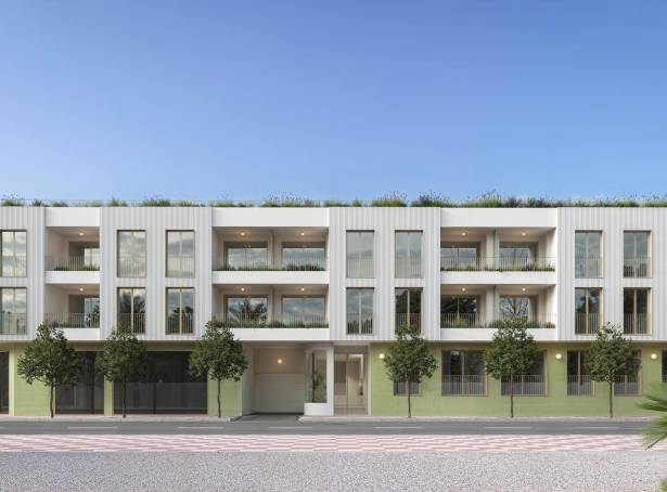 For sale - Apartment - Guardamar & Vega Baja - Jacarilla 