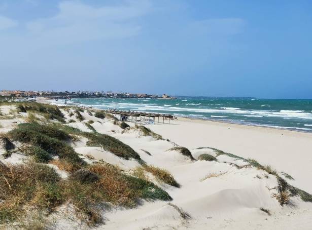 For sale - Detached Villa - Pilar de La Horadada - La Torre De La Horadada