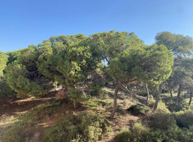 For sale - Apartment - Guardamar del Segura - Zona Pueblo