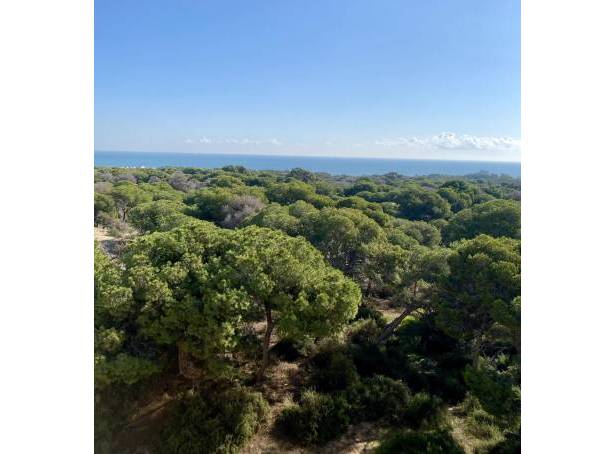 For sale - Apartment - Guardamar del Segura - Zona Pueblo