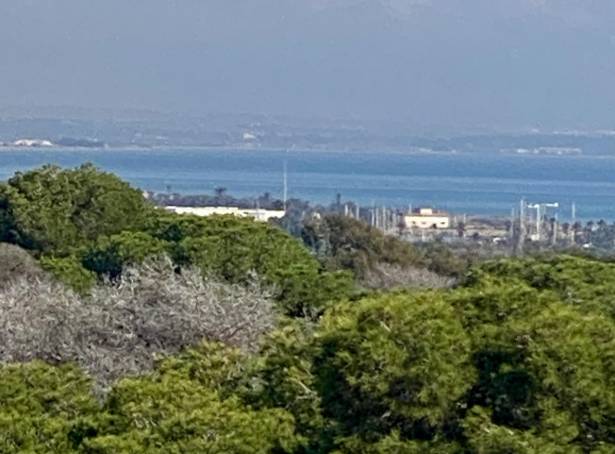 For sale - Penthouse - Guardamar del Segura - Zona Pueblo