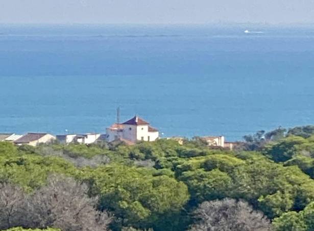 For sale - Penthouse - Guardamar del Segura - Zona Pueblo