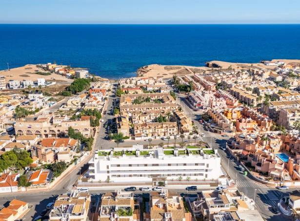 For sale - Penthouse - Torrevieja - Los Frutales