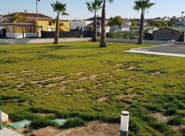 Currently Unavailable - Apartment - Los Alcazares - Mar Menor Golf Resort